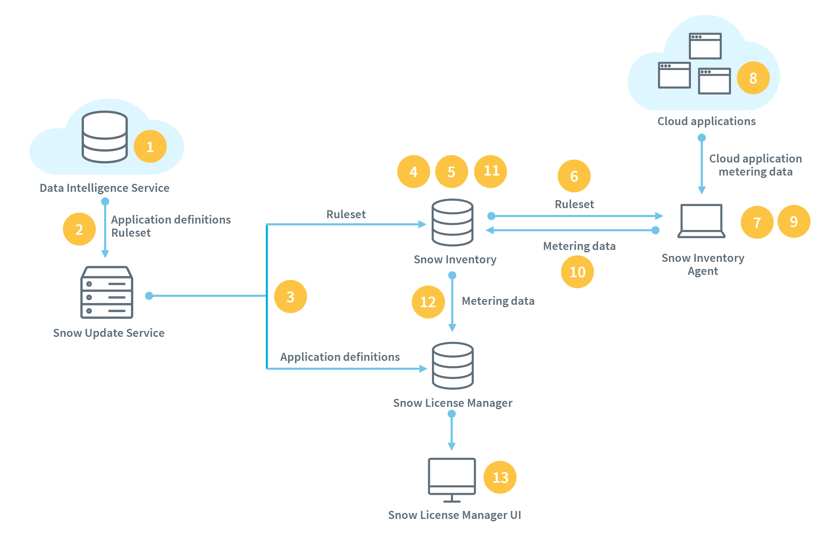 Cloud application metering architecture for Snow License Manager